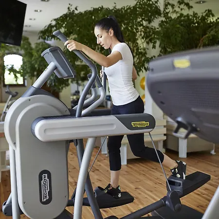 Powozownia 3* Ciekocinko