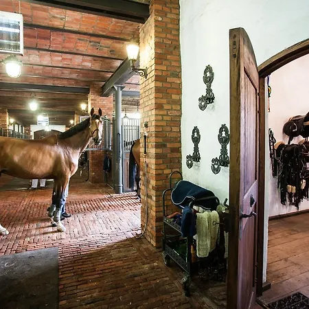 Powozownia 3* Ciekocinko