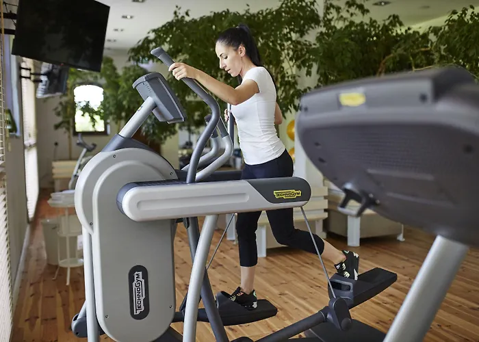 Powozownia 3* Ciekocinko