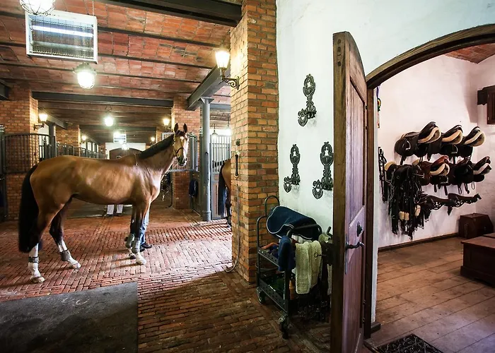 Powozownia 3* Ciekocinko